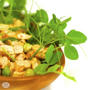 Tofu with pea sprouts and lentil sprouts FRESH SPROUTS