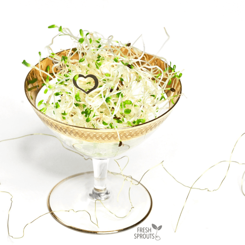 Table settings with sprouts in cocktail glass FRESH SPROUTS