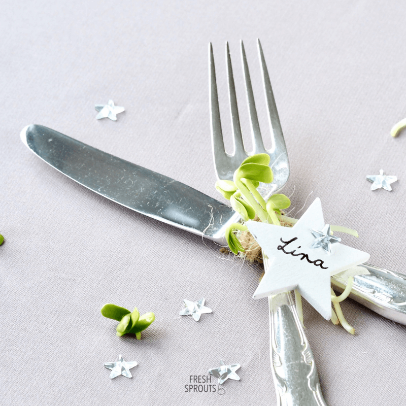 Table settings with sprouts on cutlery FRESH SPROUTS
