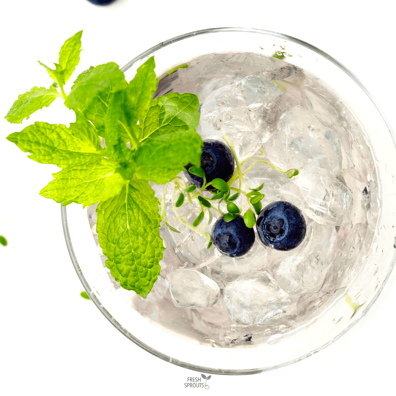 Sprouts in any dish non-alcohol drinks FRESH SPROUTS
