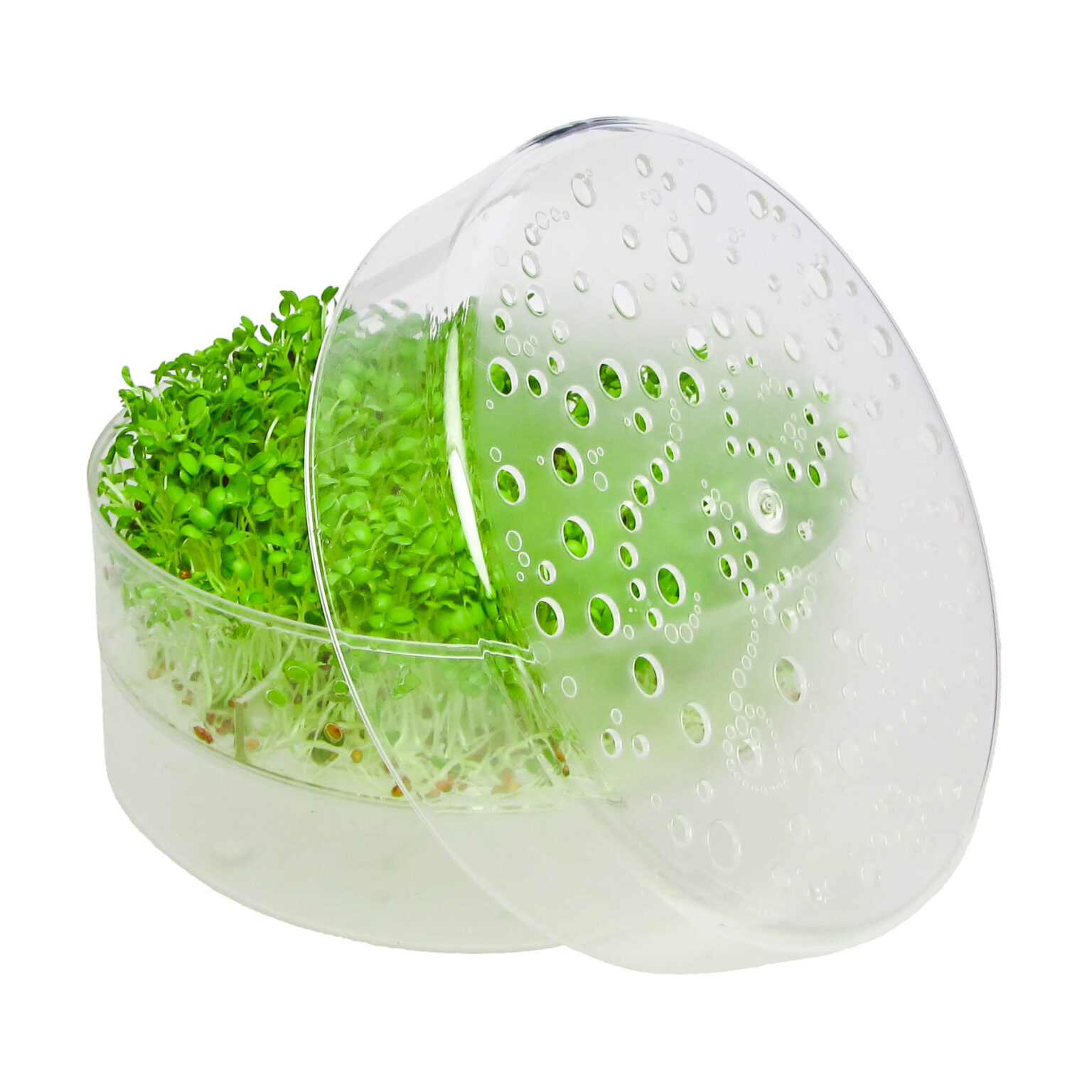 SproutPearl sprouter 1 tray is an elegant sprouter for your kitchen