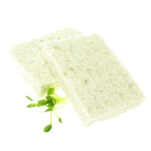 cellulose sponge all biodegradable by fresh sprouts