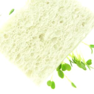 cellulose sponge biodegradable offwhite fresh sprouts