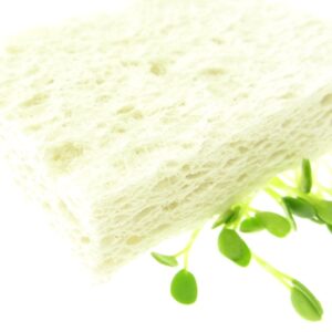 cellulose sponge biodegradable white fresh sprouts