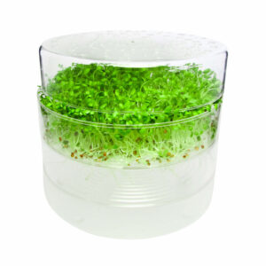 sproutpearl Keimgerate 2 tabletts von fresh sprouts