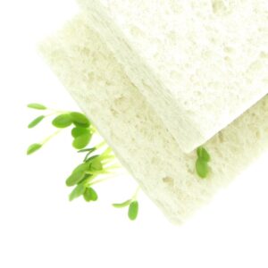 Two cellulose sponges biodegradable by fresh sprouts