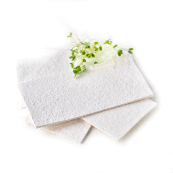 white compressed cellulose sponge biodegradable