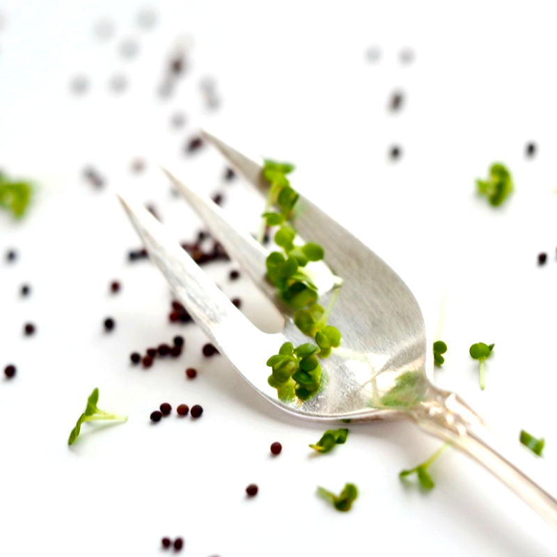 broccoli sprouts on fork