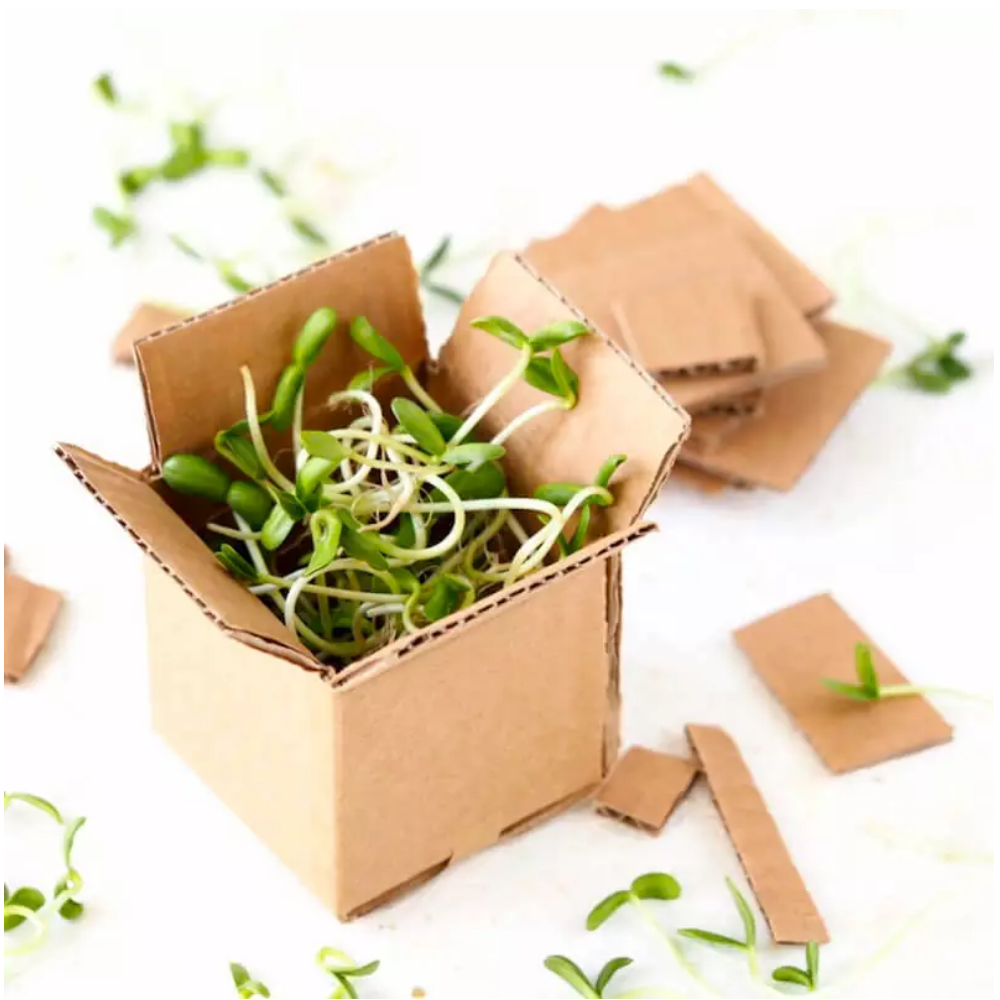 Green packaging cardboard boxes