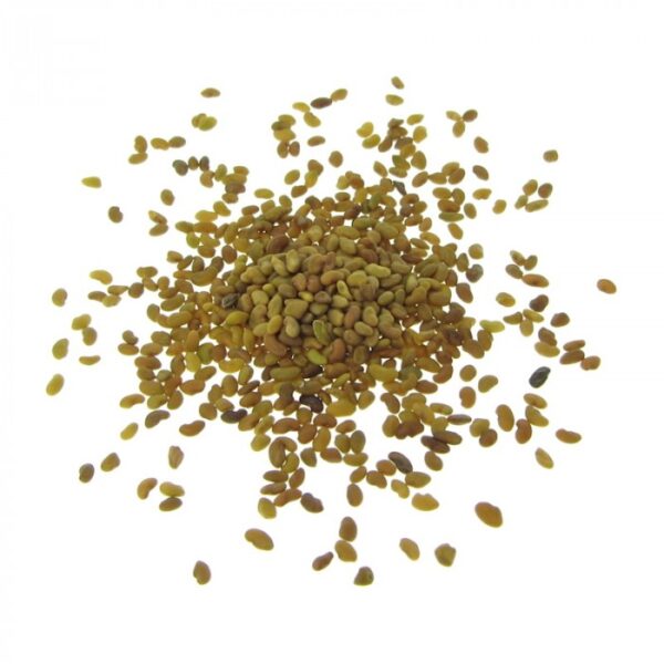 Organic alfalfa seeds