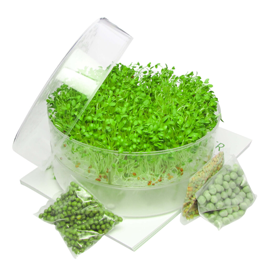 SproutPearl startkit with sprouter, organic seeds and sprout book