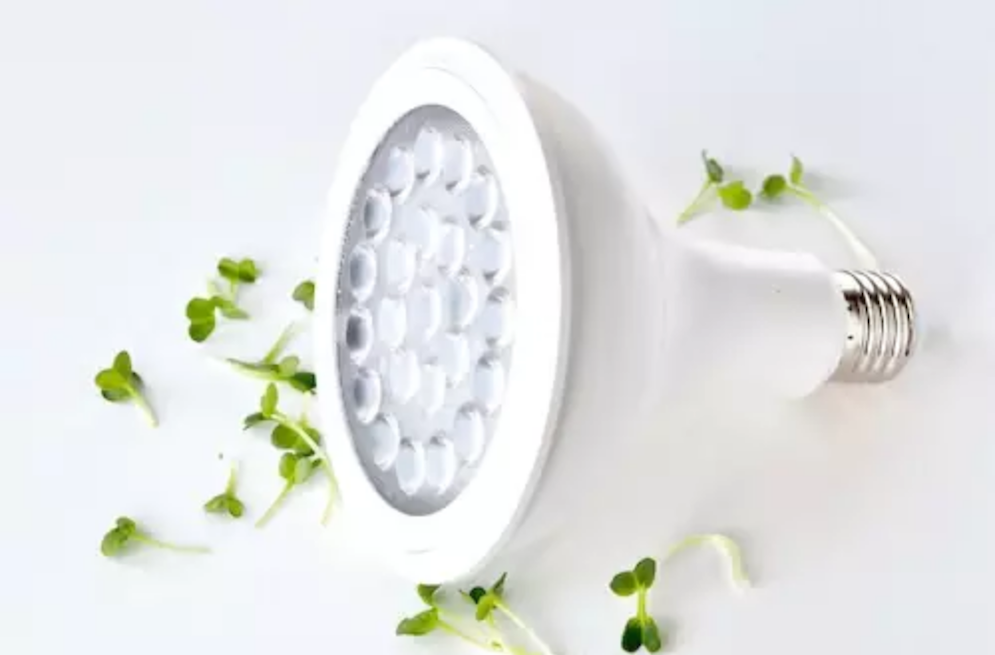 Microgreens plant light