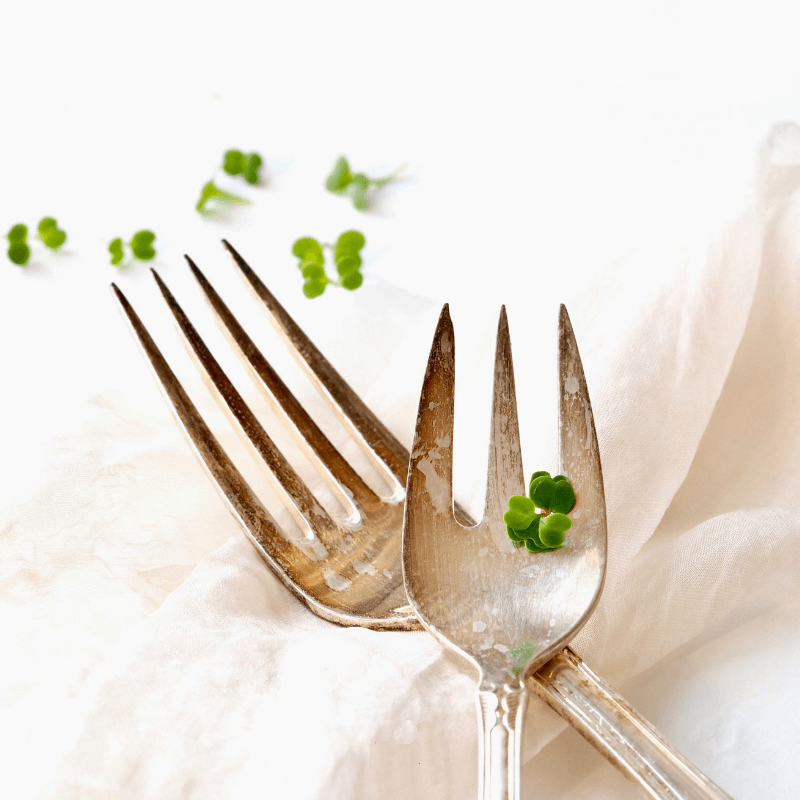 Organic Arugula sprouts