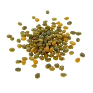 Organic rucola seeds in pile