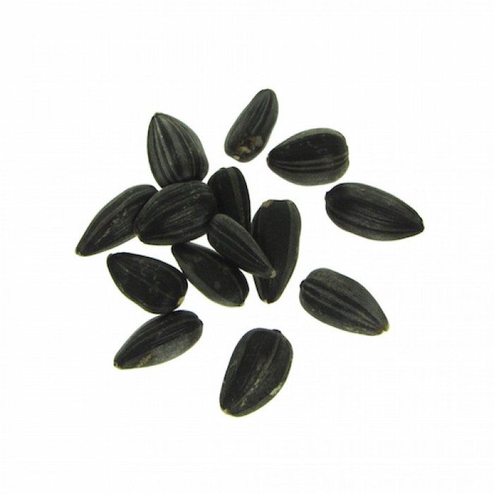 Organic sunflower seeds for sprouts