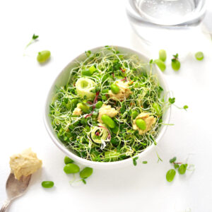 salade de pousses avec sprouts de trèfle et de radis