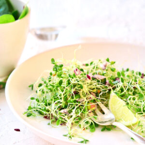 clover salad with sprouts