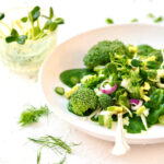 fennel salad with sunflower sprouts