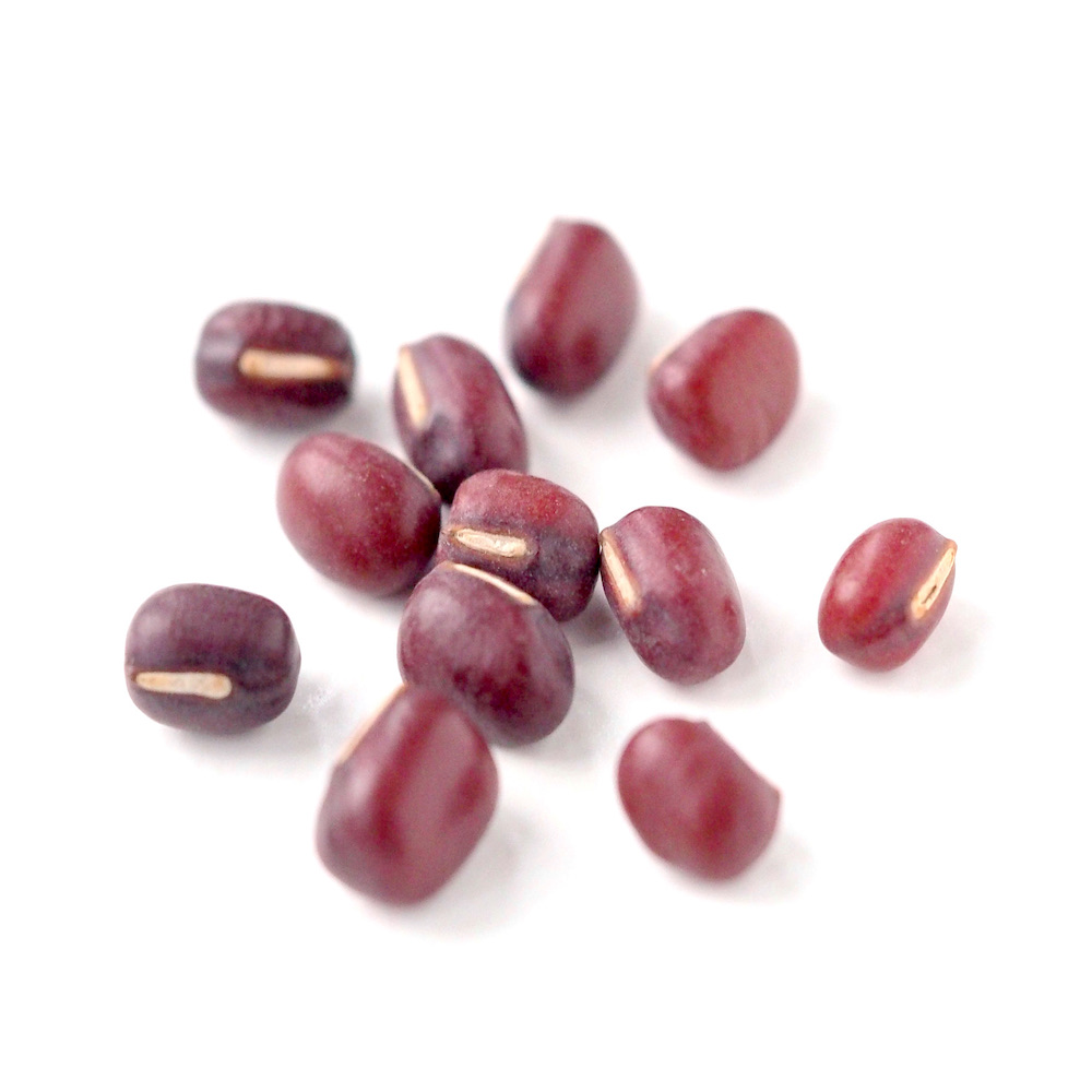 organic adzuki beans for sprouts