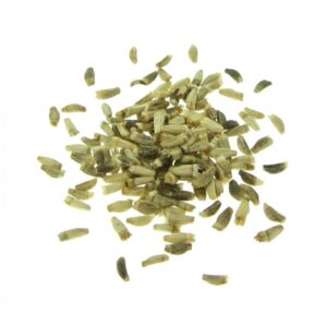 organic endive seeds for sprouts