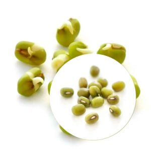 Organic Mungbeans for Sprouts