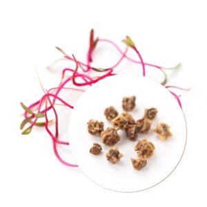 Organic Red clover seeds for Sprouts and Microgreens