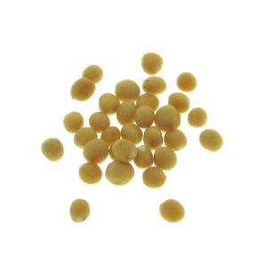 organic white mustard seeds for sprouts