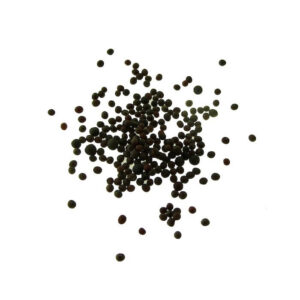 graines de mizuna biologiques pour les pousses