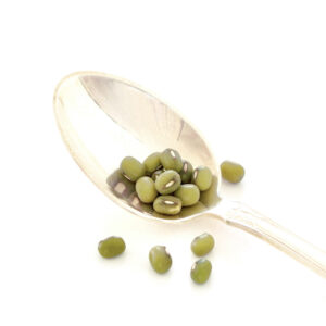 Organic Mung bean for sprouts