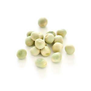 Organic green peas for sprouts