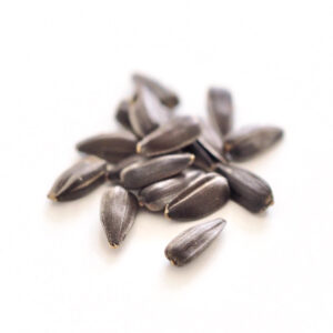 Organic sunflower seeds for sprouts