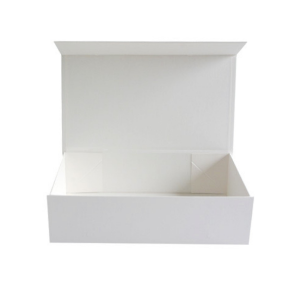 Seed storage box with magnetic flap