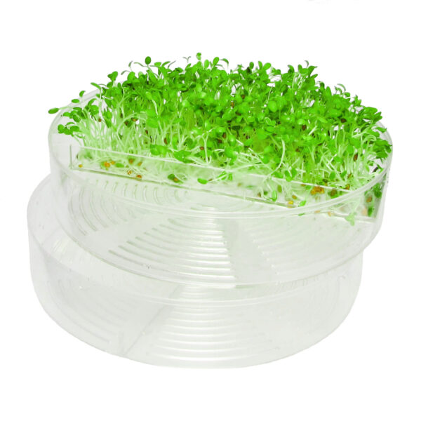 Seed trays for SproutPearl transparent sprouter