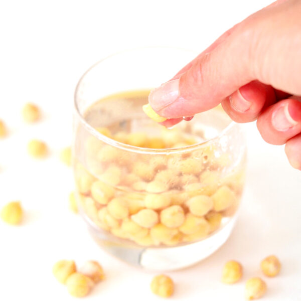 Soaked Chick peas for sprouts