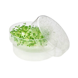 SproutPearl extra lid, seed tray or bottom part