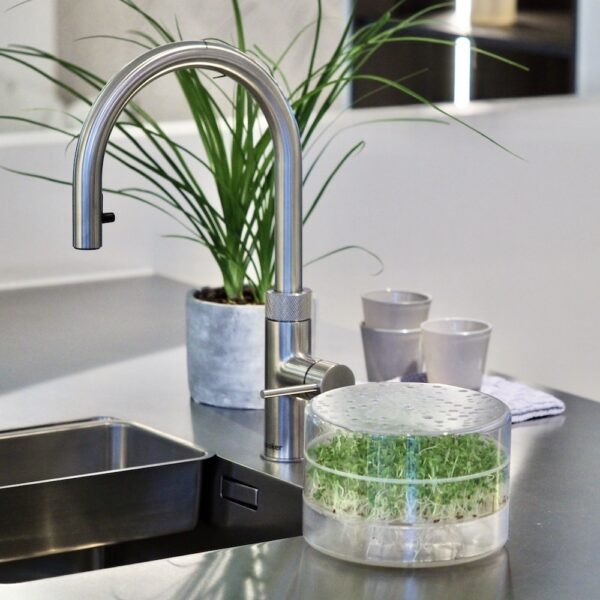 SproutPearl germoir pour faire sprouts et microgreens dans votre cuisine