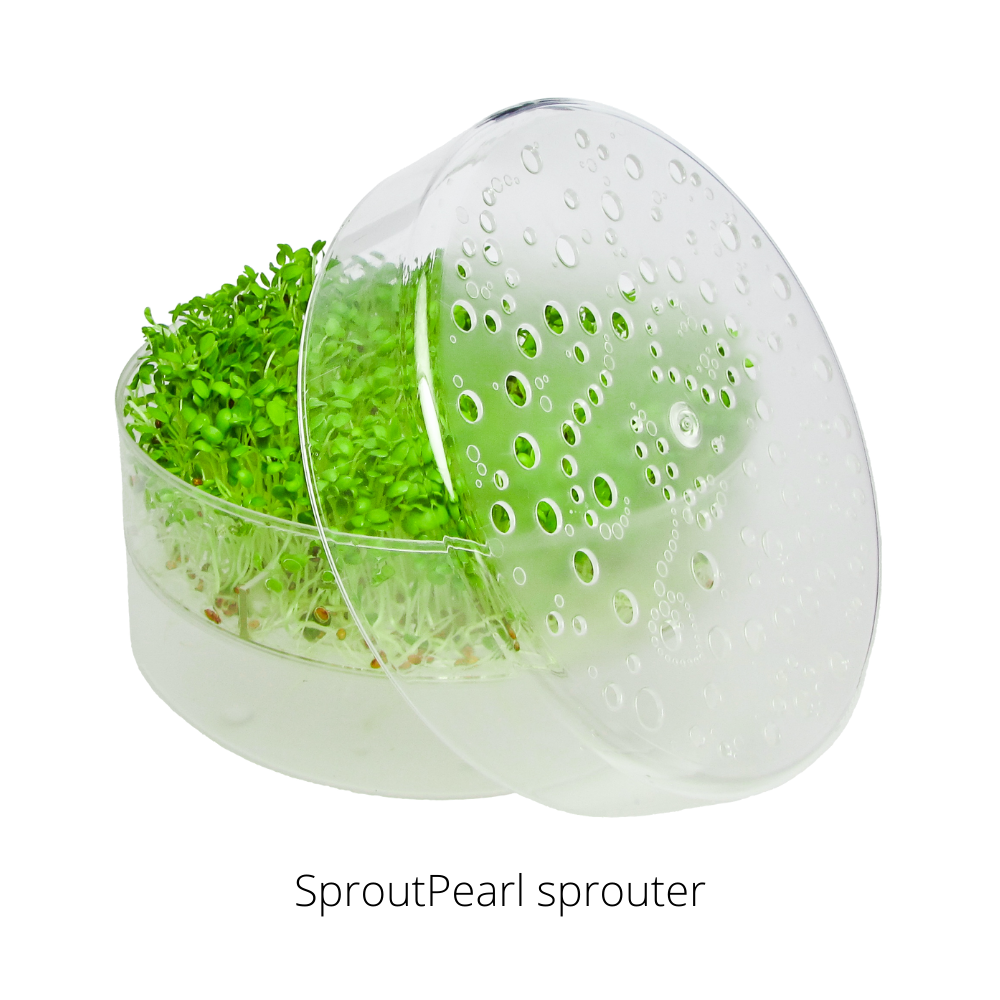 SproutPearl sprouter by fresh sprouts