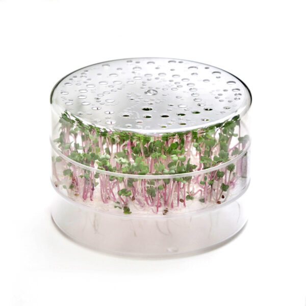 sproutpearl microgreen tray