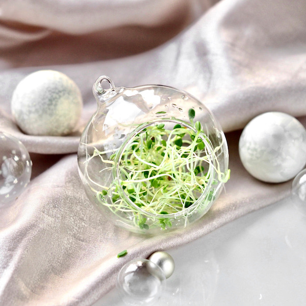 Edible tablesetting with Sprouts