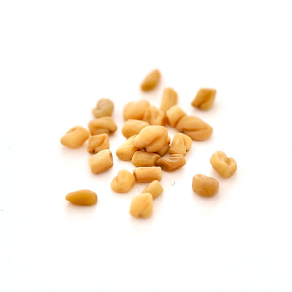 Organic Fenugreek seeds for sprouts