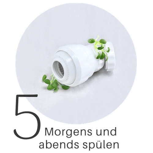 Sprossen guide 5