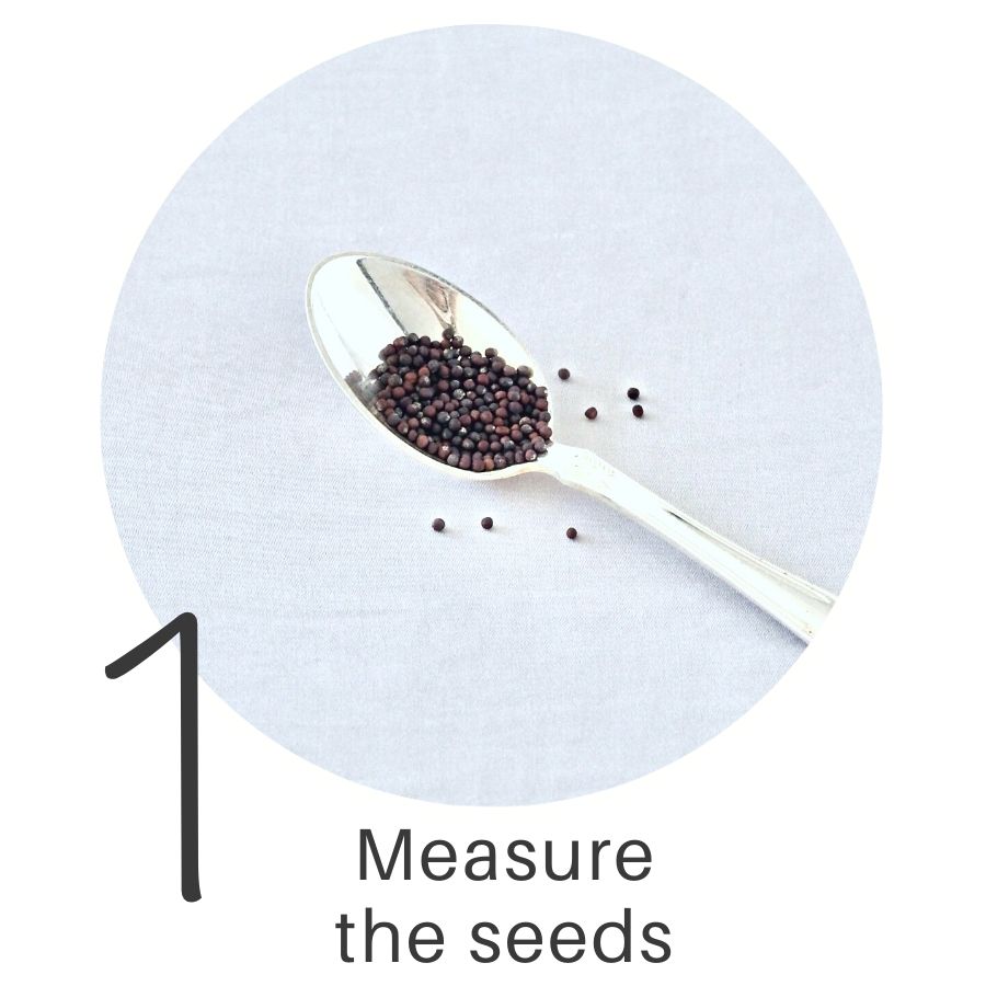 Step 1 sprout guide