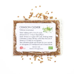 Organic Crimson clover seeds for Sprouts and Microgreens 4 gram
