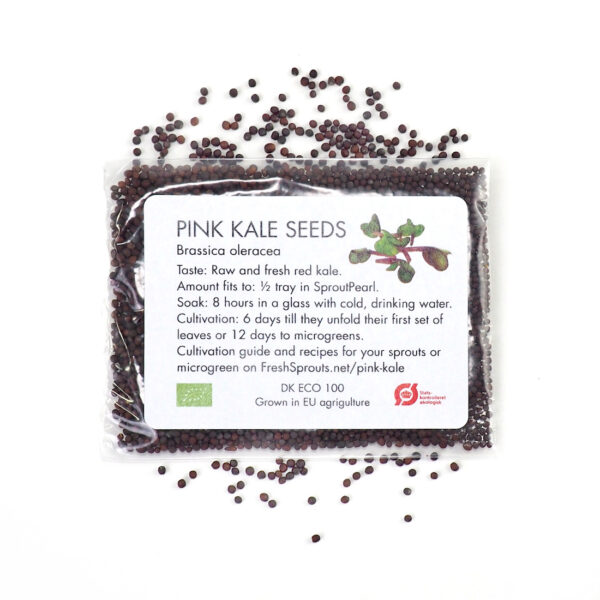 Organic Pink kale seeds for Sprouts and Microgreens 3 gram