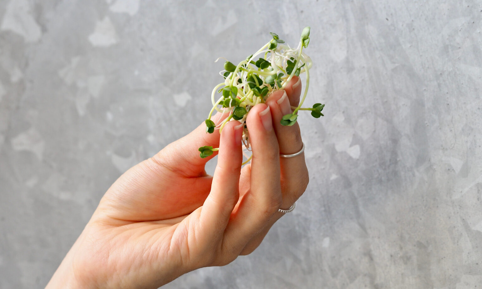 14 ideas for Sprouts and Microgreens in green food and dishes