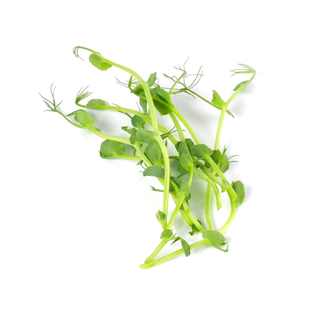 Organic Pea shoots