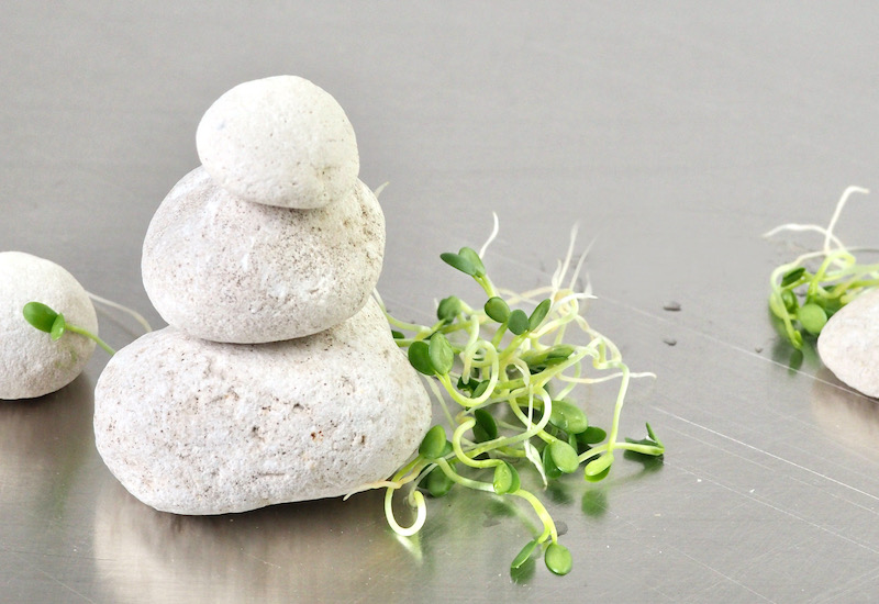 Why Sprouts and Microgreens are calming